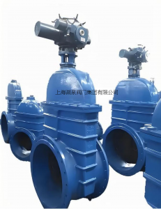 DN600電動閘閥工程報(bào)價(jià)